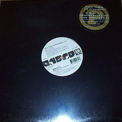 Badd Boys Of The Industry : One Night Of Freedom (12", Promo)