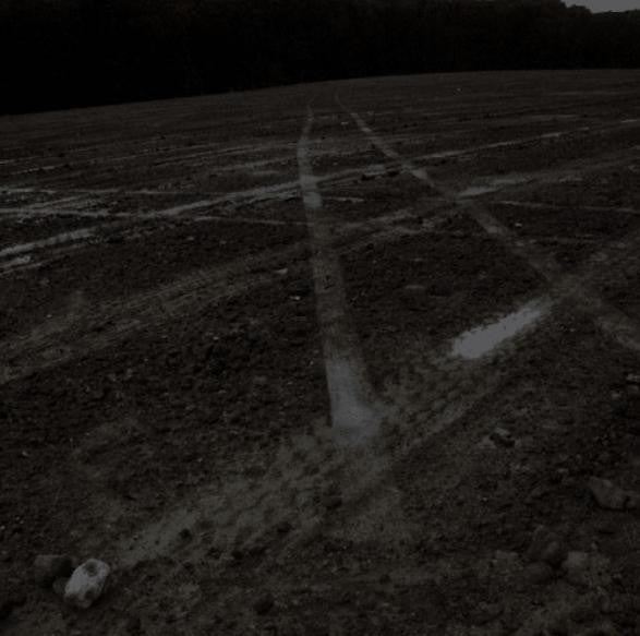 Machinefabriek / Matt Davies (2) : Onkruid / Sanctuary (12", Ltd + Box, Ltd)