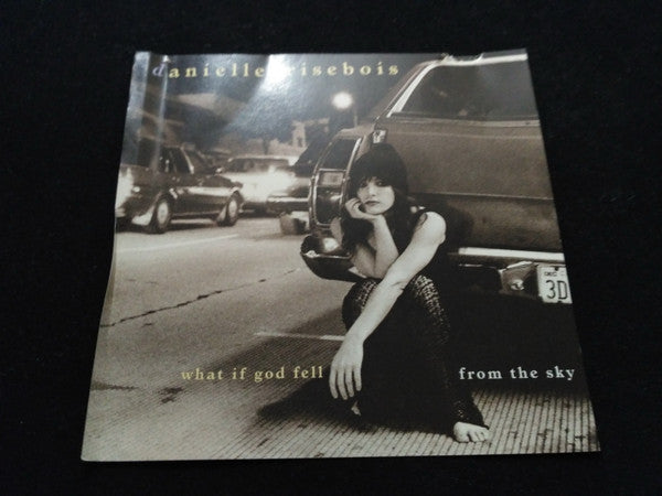 Danielle Brisebois : What If God Fell From The Sky (CD, Single, Promo)