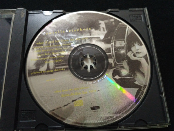 Danielle Brisebois : What If God Fell From The Sky (CD, Single, Promo)