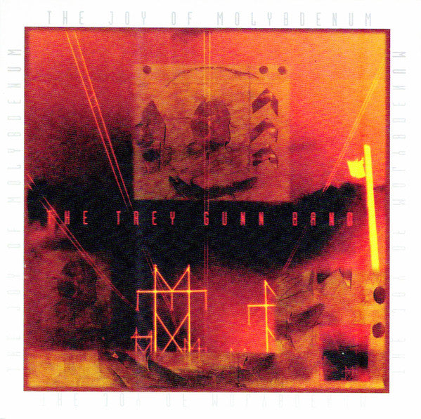 The Trey Gunn Band : The Joy Of Molybdenum (CD, Album)