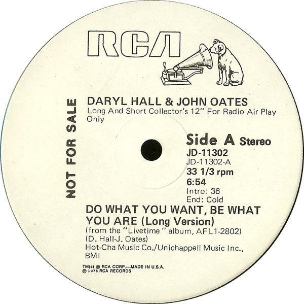 Daryl Hall & John Oates : Do What You Want, Be What You Are (12", Promo)