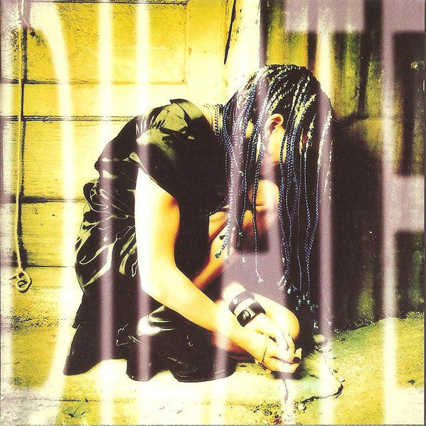 Ani DiFranco : Dilate (CD, Album)