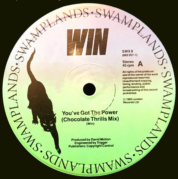 Win : You've Got The Power (Chocolate Thrills Mix) (12", Single)