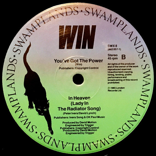 Win : You've Got The Power (Chocolate Thrills Mix) (12", Single)
