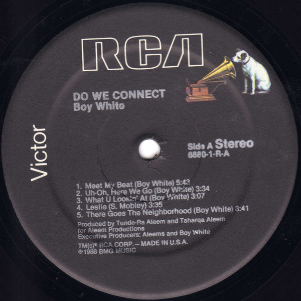 Boy White : Do We Connect (LP, Album)