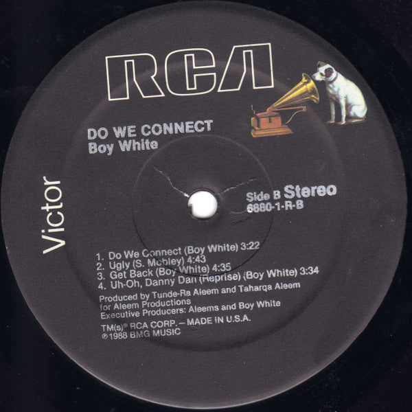 Boy White : Do We Connect (LP, Album)