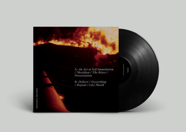 Reduction Plan : (Ae) Maeth (LP, Album)
