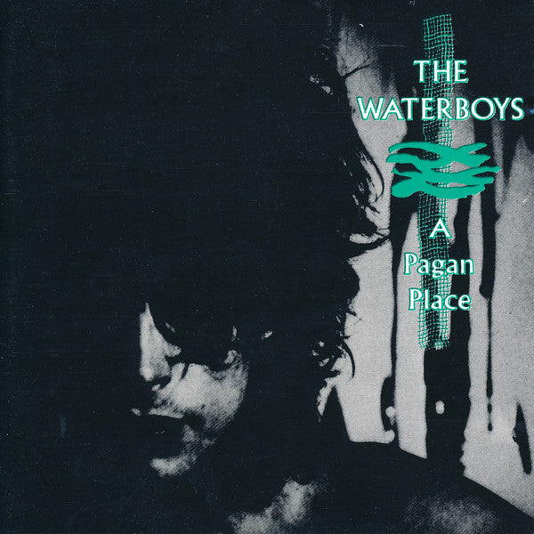 The Waterboys : A Pagan Place (CD, Album)