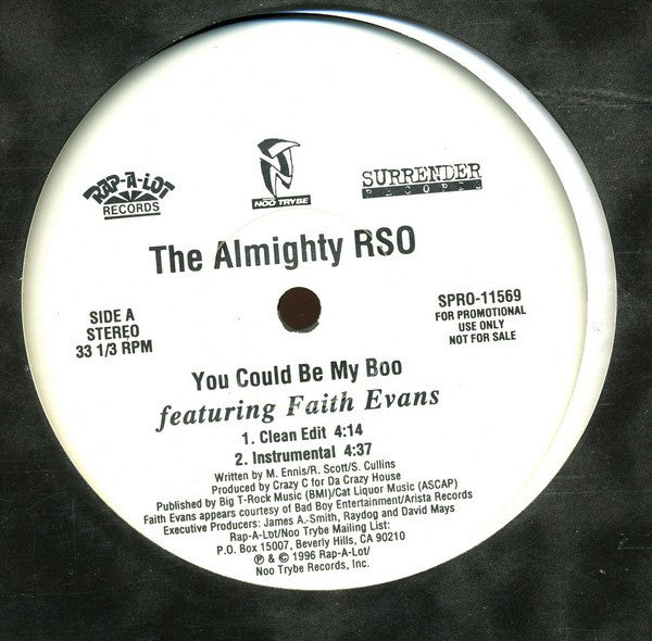 The Almighty RSO : You Could Be My Boo (12", Promo)