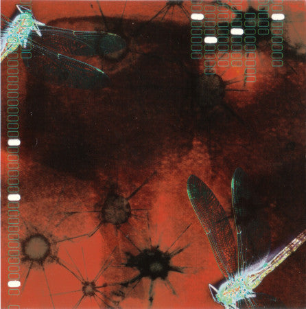 Pōvi : Life In Volcanoes (CD, Album)