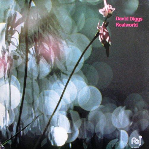 David Diggs : Realworld (LP, Album)