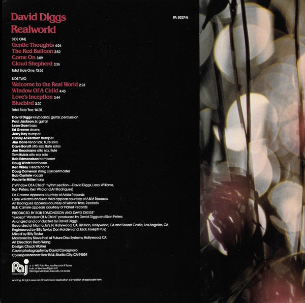 David Diggs : Realworld (LP, Album)