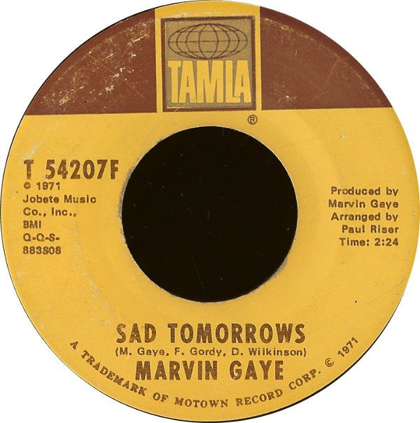 Marvin Gaye : Mercy Mercy Me (The Ecology) (7")