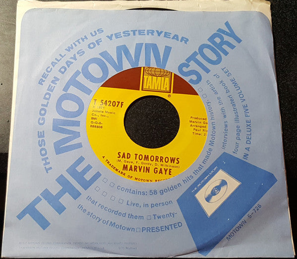 Marvin Gaye : Mercy Mercy Me (The Ecology) (7")