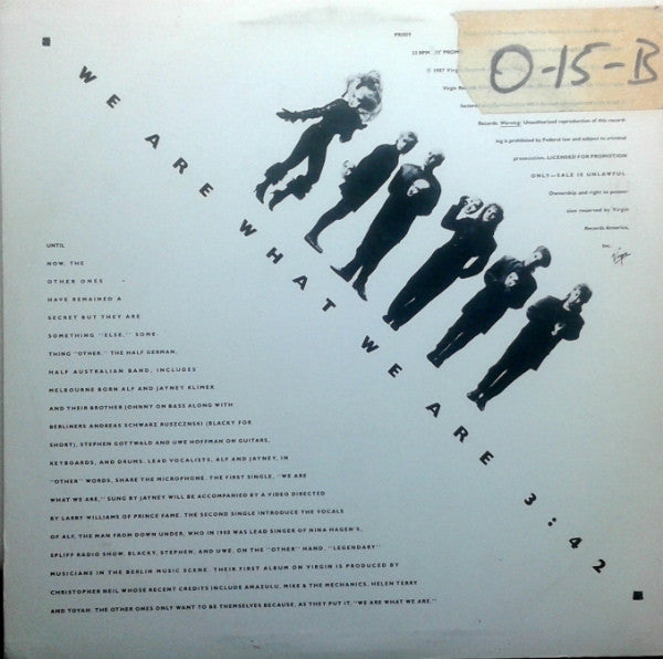 The Other Ones : We Are What We Are (12", Promo)