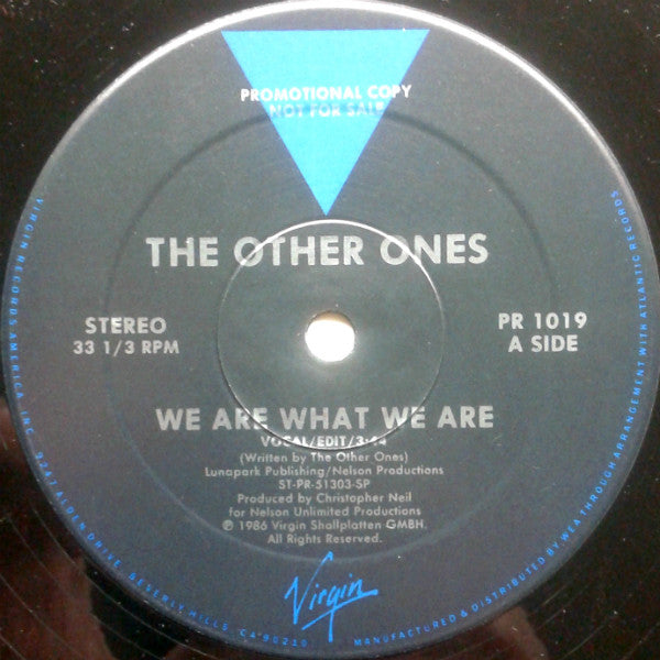 The Other Ones : We Are What We Are (12", Promo)