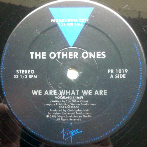 The Other Ones : We Are What We Are (12", Promo)