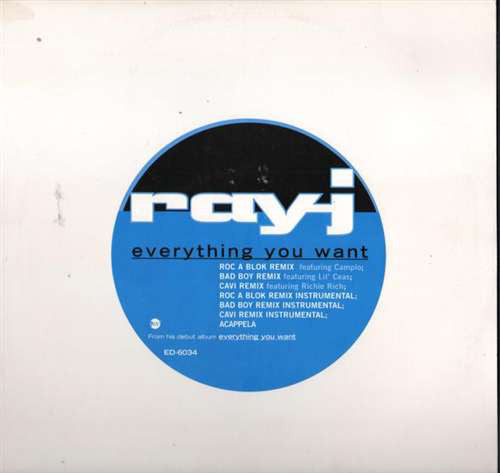 Ray J : Everything You Want (12", Promo)