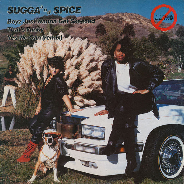 Sugga & Spice : Boyz Just Wanna Get Skeezed! (12")