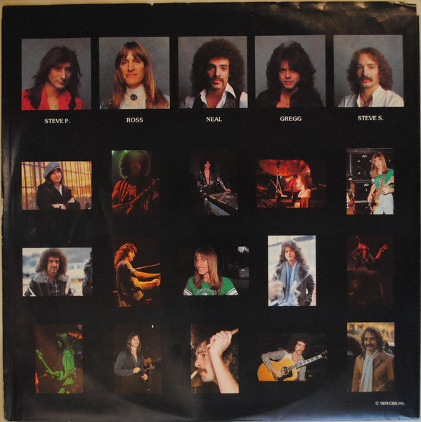 Journey : Evolution (LP, Album, Ter)