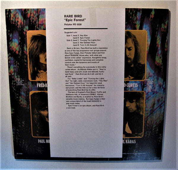 Rare Bird : Epic Forest (LP, Album, Promo)