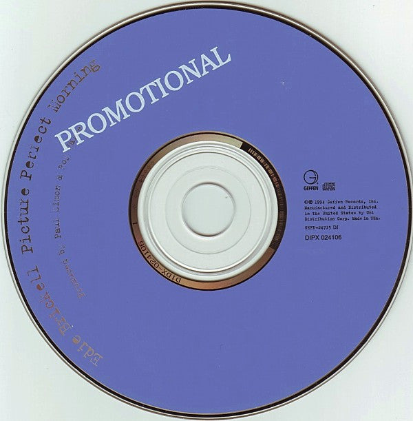 Edie Brickell : Picture Perfect Morning (CD, Album, Promo)