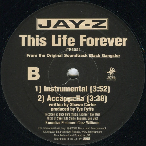 Jay-Z : This Life Forever (12", Promo)