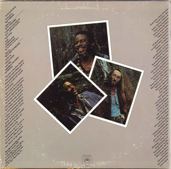 David Sancious : Forest Of Feelings (LP, Album, Pit)