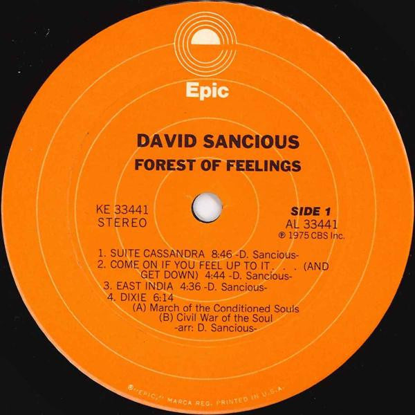 David Sancious : Forest Of Feelings (LP, Album, Pit)