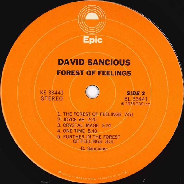 David Sancious : Forest Of Feelings (LP, Album, Pit)