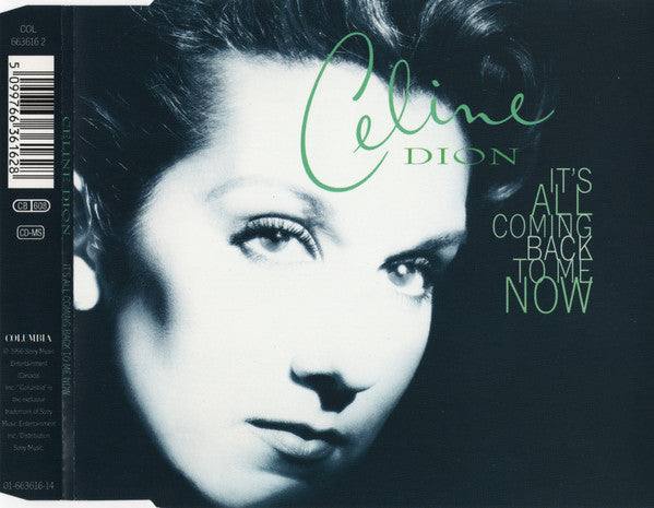 Céline Dion : It's All Coming Back To Me Now (CD, Maxi)