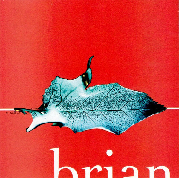 Brian Wilson : Imagination (CD, Album, WEA)
