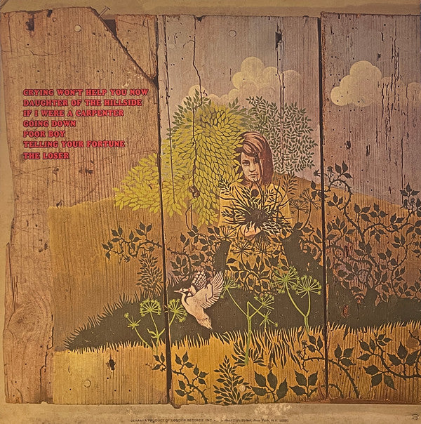 Chicken Shack : Imagination Lady (LP, Album, Gat)