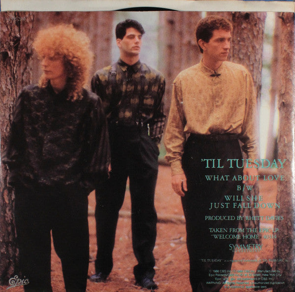 'Til Tuesday : What About Love (7", Single, Styrene)