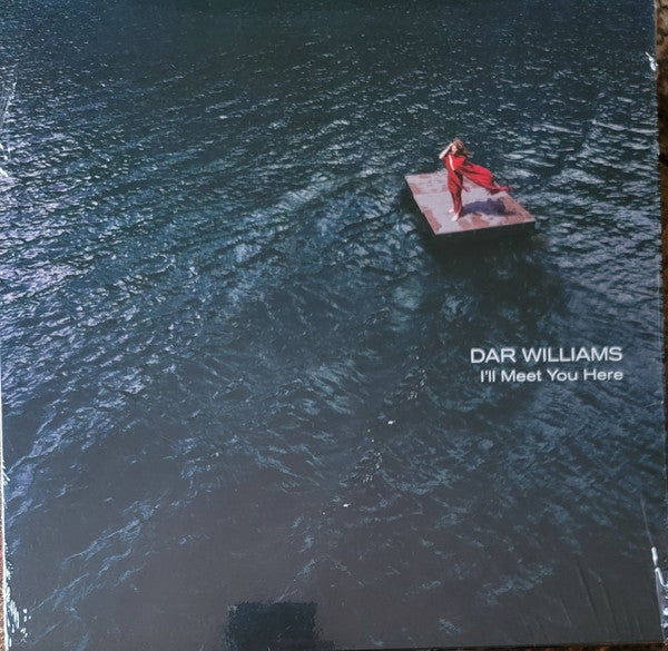 Dar Williams : I'll Meet You Here (LP, Album)