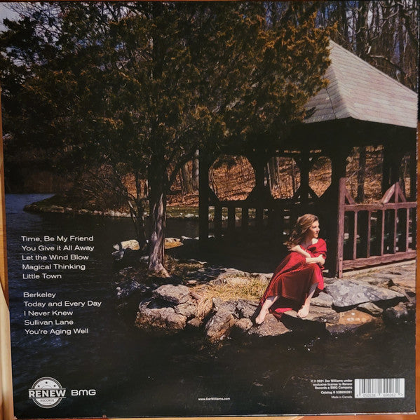 Dar Williams : I'll Meet You Here (LP, Album)