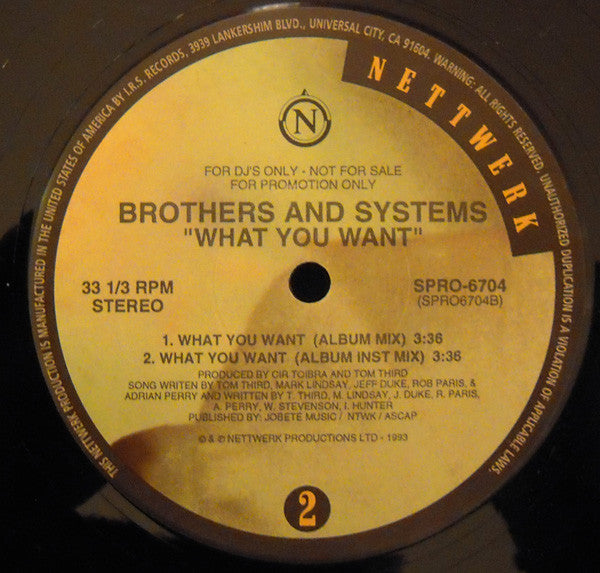 Brothers And Systems : What You Want (Remixes) (12", Promo)