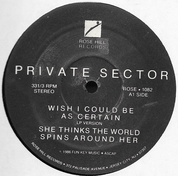 Private Sector : Wish I Could Be As Certain (12")
