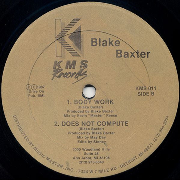Blake Baxter : When We Used To Play (12")