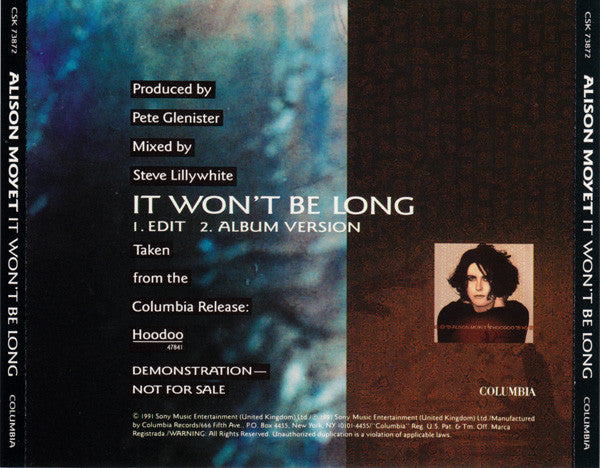 Alison Moyet : It Won't Be Long (CD, Single, Promo)