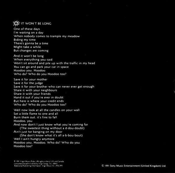 Alison Moyet : It Won't Be Long (CD, Single, Promo)