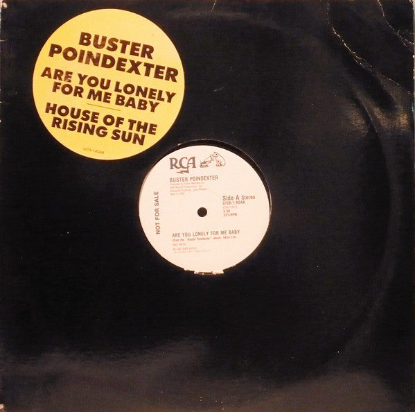 Buster Poindexter : Are You Lonely For Me Baby / House Of The Rising Sun (12", Promo)
