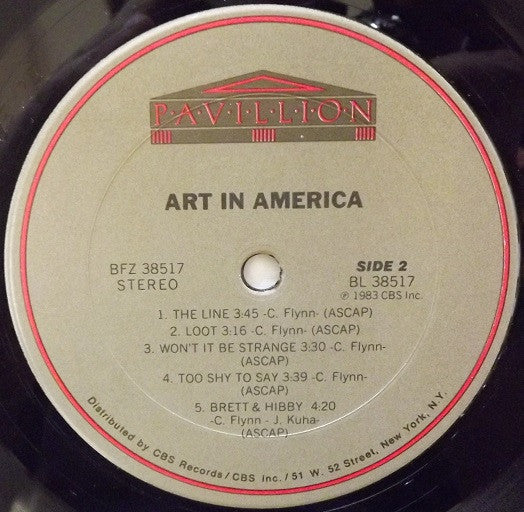 Art In America : Art In America (LP, Album)