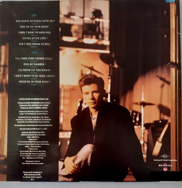 Rick Astley : Hold Me In Your Arms (LP, Album)