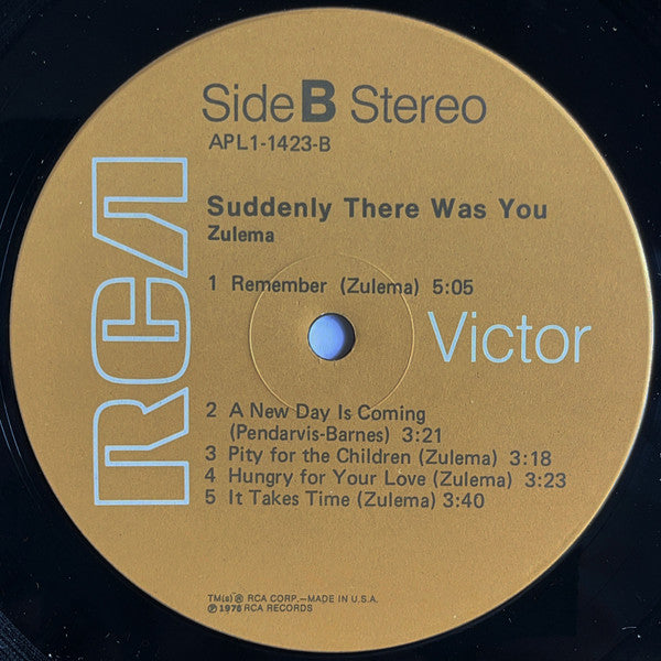 Zulema : Suddenly There Was You (LP, Album, Ind)