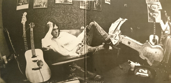 Neil Young : After The Gold Rush (LP, Album, RE, Gat)