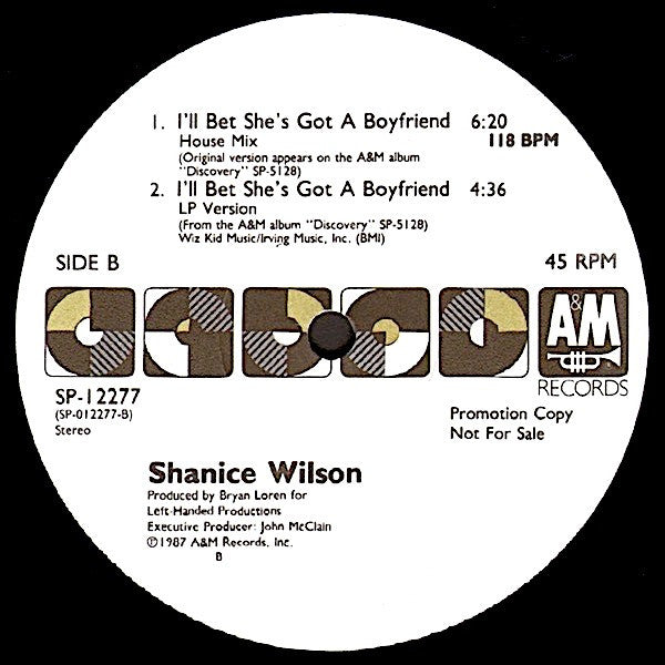 Shanice Wilson : I'll Bet She's Got A Boyfriend (12", Promo)