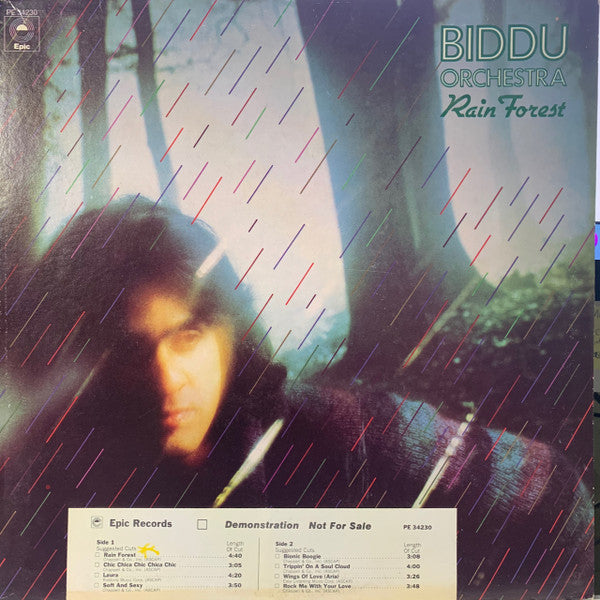 Biddu Orchestra : Rain Forest (LP, Album, Promo, CPT)