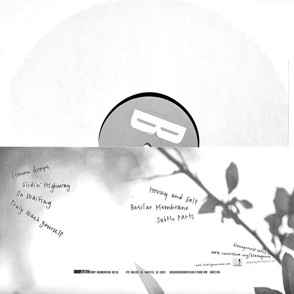 Blame Game : Honey And Salt (LP, Album)